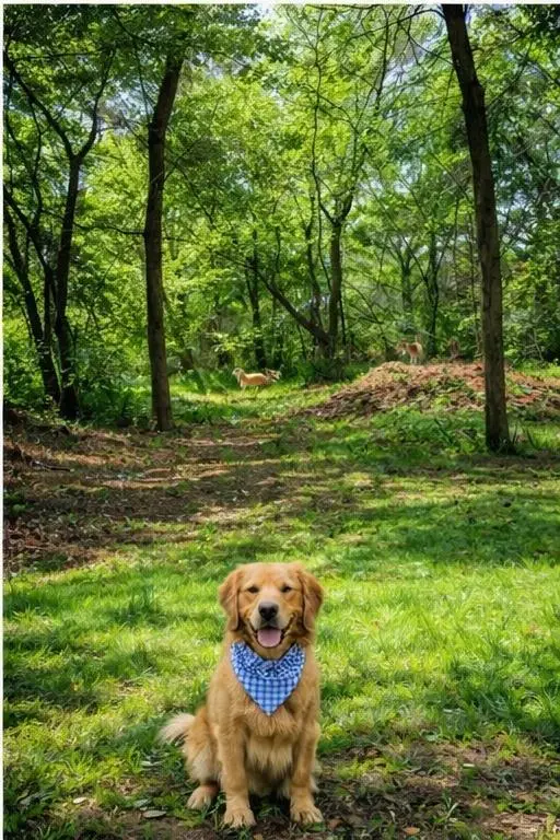 11901 Woodcrest, Guthrie, OK 73044 - #2