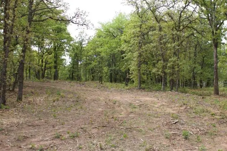 16675 Magwood Street, Lexington, OK 73051 - #2