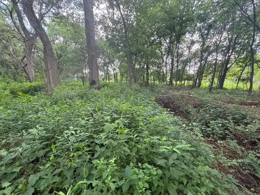 Pecan Valley Lot 60 Road, Tecumseh, OK 74873 - Image #3