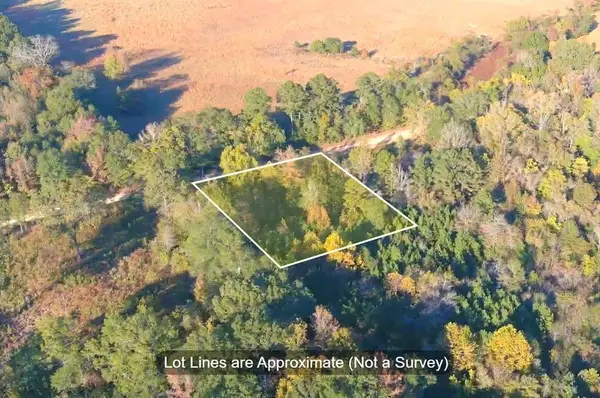 0 Butler Road, Haworth, OK 74740