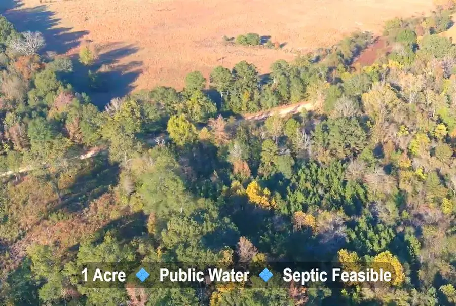 0 Butler Road, Haworth, OK 74740 - #2