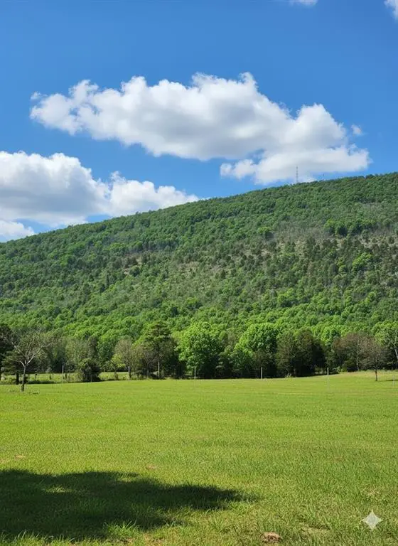 8828 SE Hwy-63, Talihina, OK 74571 - #2