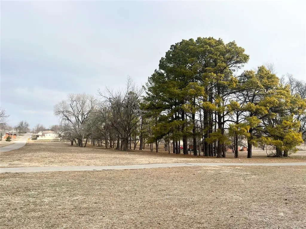 S 13 Street, Chickasha, OK 73018 - #1