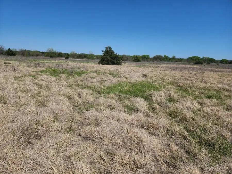 0000 Cyrus Harris Road Road, Mill Creek, OK 74856 - #2