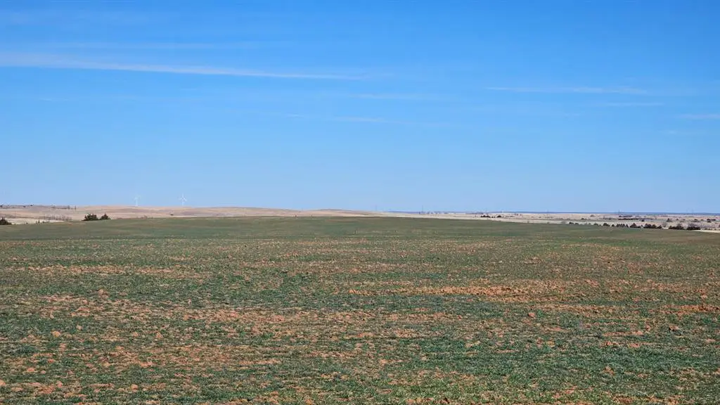 Address Withheld By Seller, Seiling, OK 73859 - #1