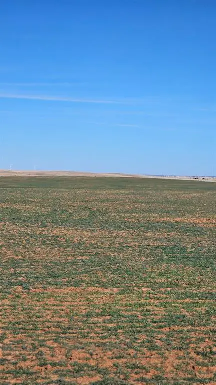 Address Withheld By Seller, Seiling, OK 73859 - #2