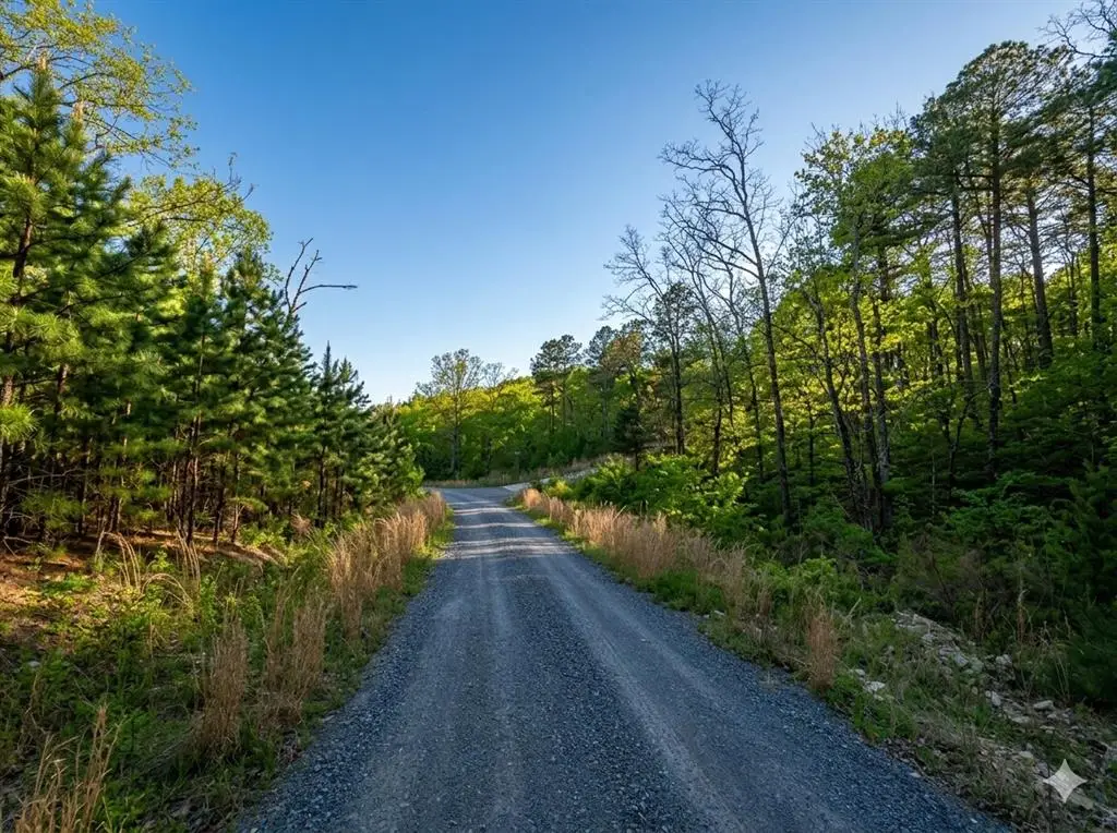 63 Western Cedar Trail, Broken Bow, OK 74728 - #1