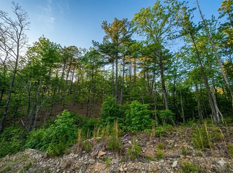 63 Western Cedar Trail, Broken Bow, OK 74728 - #2