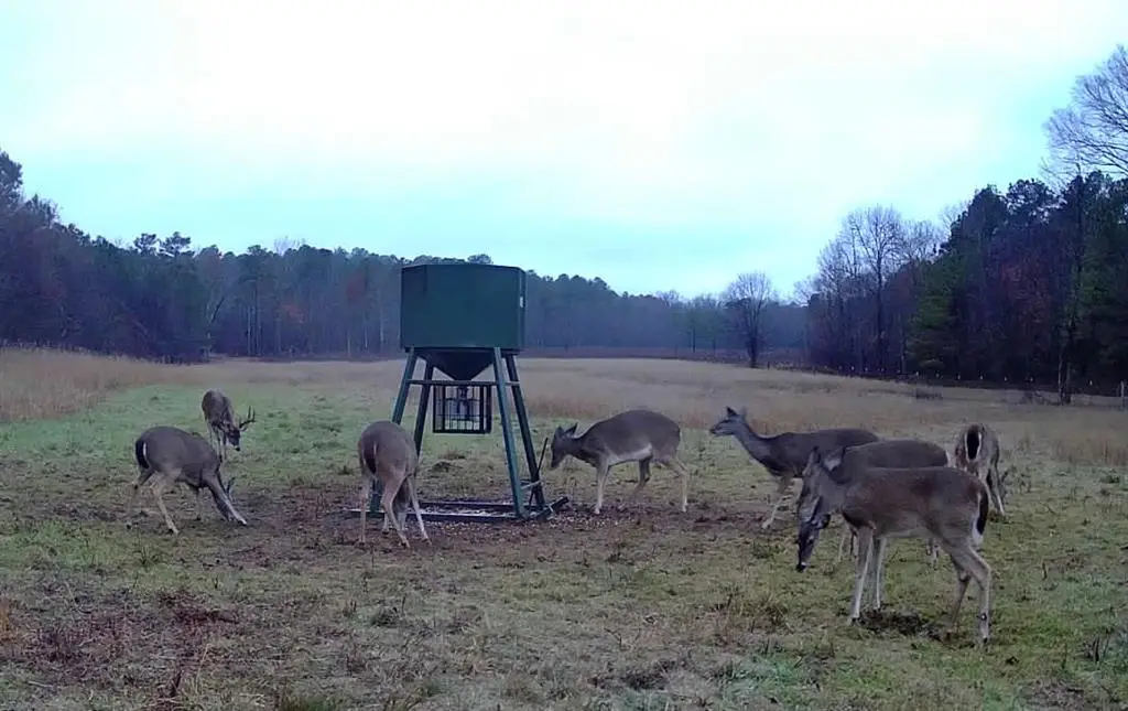 6536 Hudson Creek, Watson, OK 74957 - #1