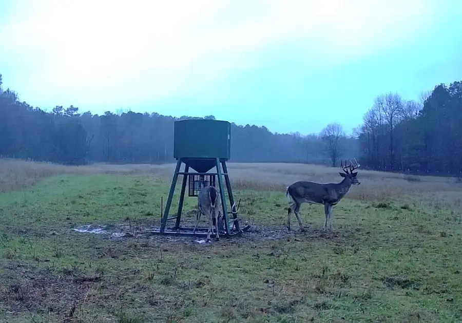 6536 Hudson Creek, Watson, OK 74957 - #3