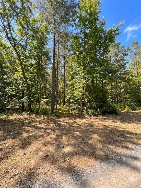 86 Southern Locust Trail, Broken Bow, OK 74728 - #3