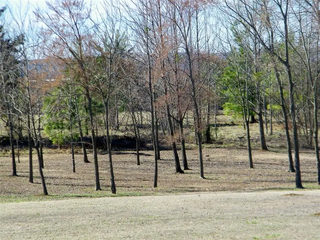 E Washington Street #Lot 4, Idabel, OK 74745 - #1