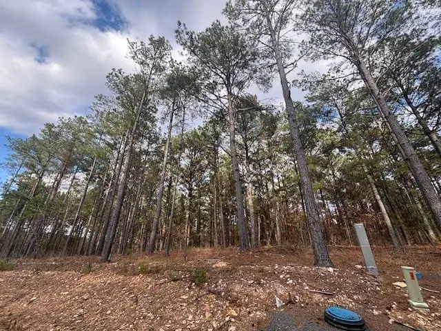 106 Turkey Roost Trail, Broken Bow, OK 74728 - #1