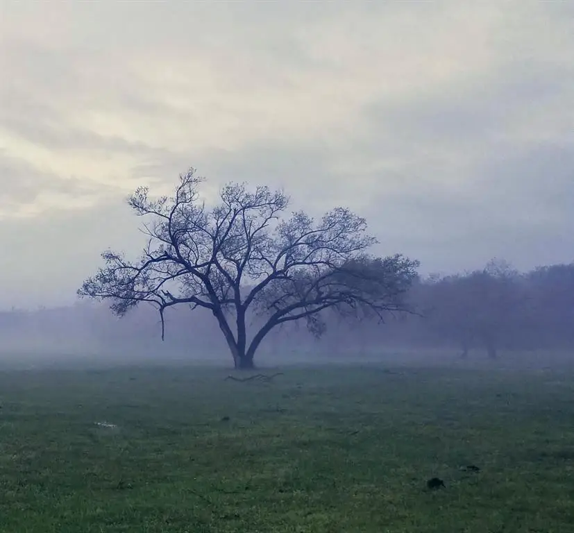 990815 S 3293 Road, Harrah, OK 73045 - #1