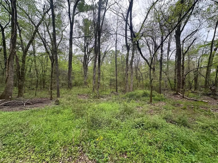 226 Butler Pool Road, Idabel, OK 74745 - #3