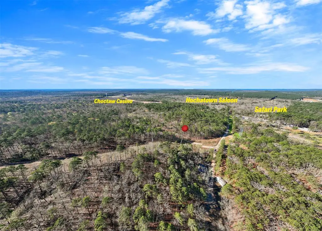 1 Johnboat Lane, Broken Bow, OK 74728 - #1