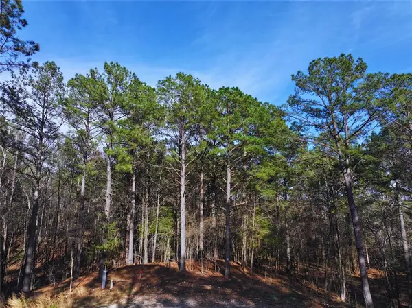 108 Hills Creek Trail, Broken Bow, OK 74728