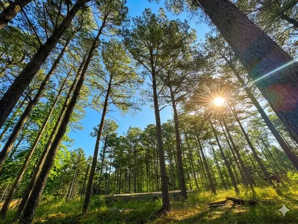 114 Alumacraft Trail, Broken Bow, OK 74728