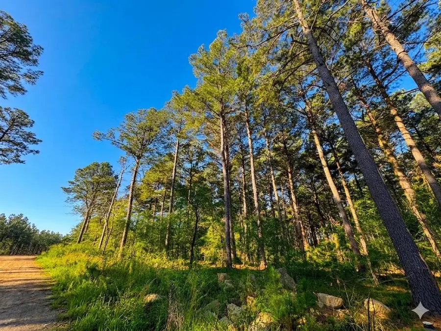 23 Alumaweld Lane, Broken Bow, OK 74728 - #2