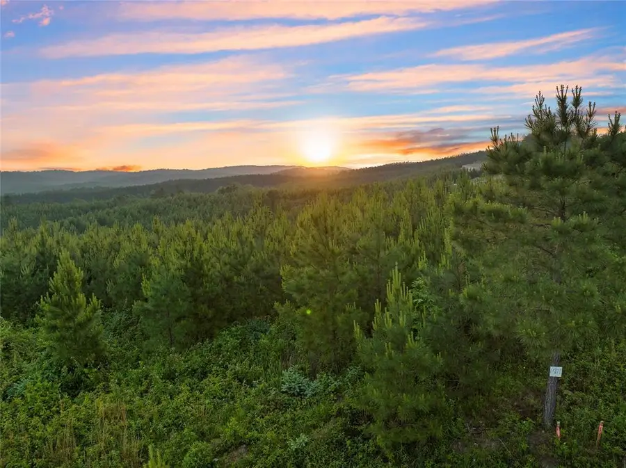 393 Overcup Oak Trail, Broken Bow, OK 74728 - #2