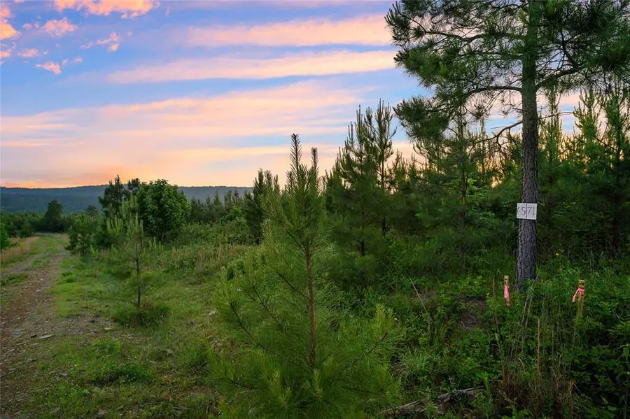 393 Overcup Oak Trail, Broken Bow, OK 74728 - #3