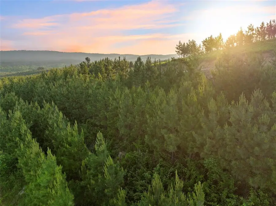 335 Monterey Oak Trail, Broken Bow, OK 74728 - #3