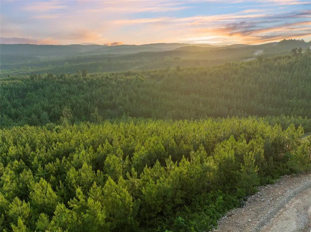 403 Monterey Oak Trail, Broken Bow, OK 74728 - #1