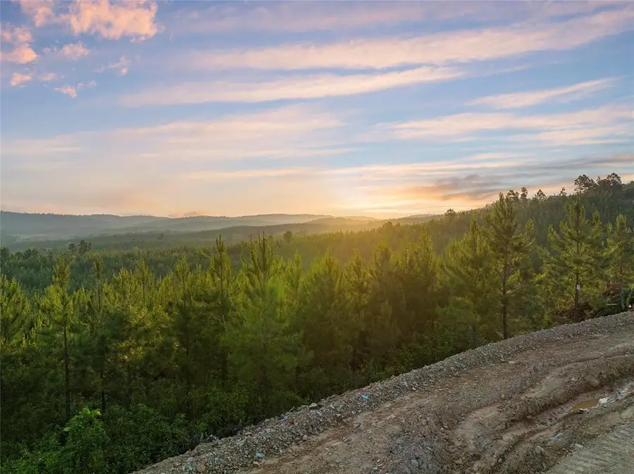 403 Monterey Oak Trail, Broken Bow, OK 74728 - #3