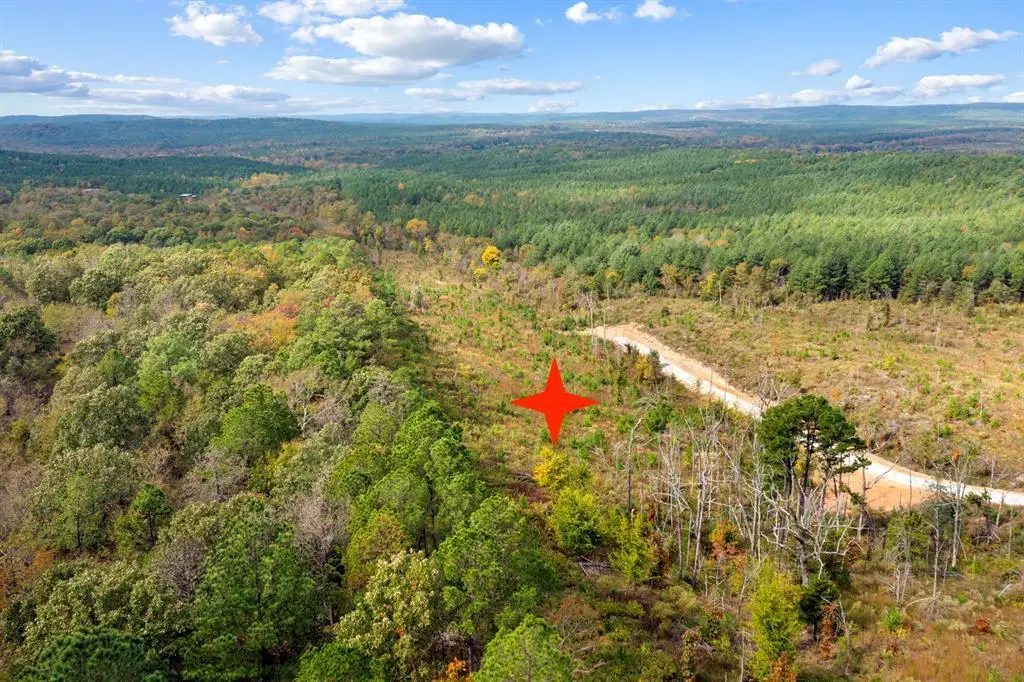 48 Rose Tree Trail, Broken Bow, OK 74728 - #1