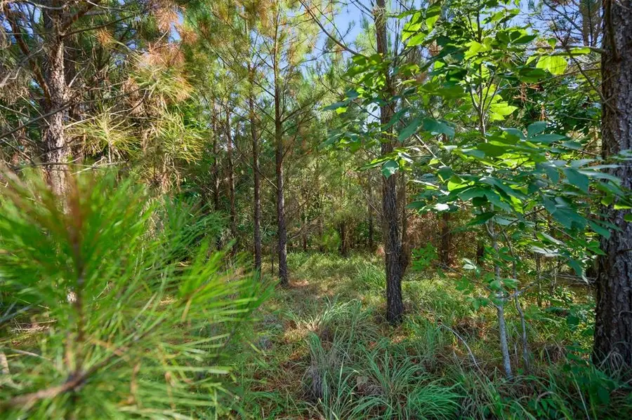 127 Legacy Point Trail, Broken Bow, OK 74728 - #3