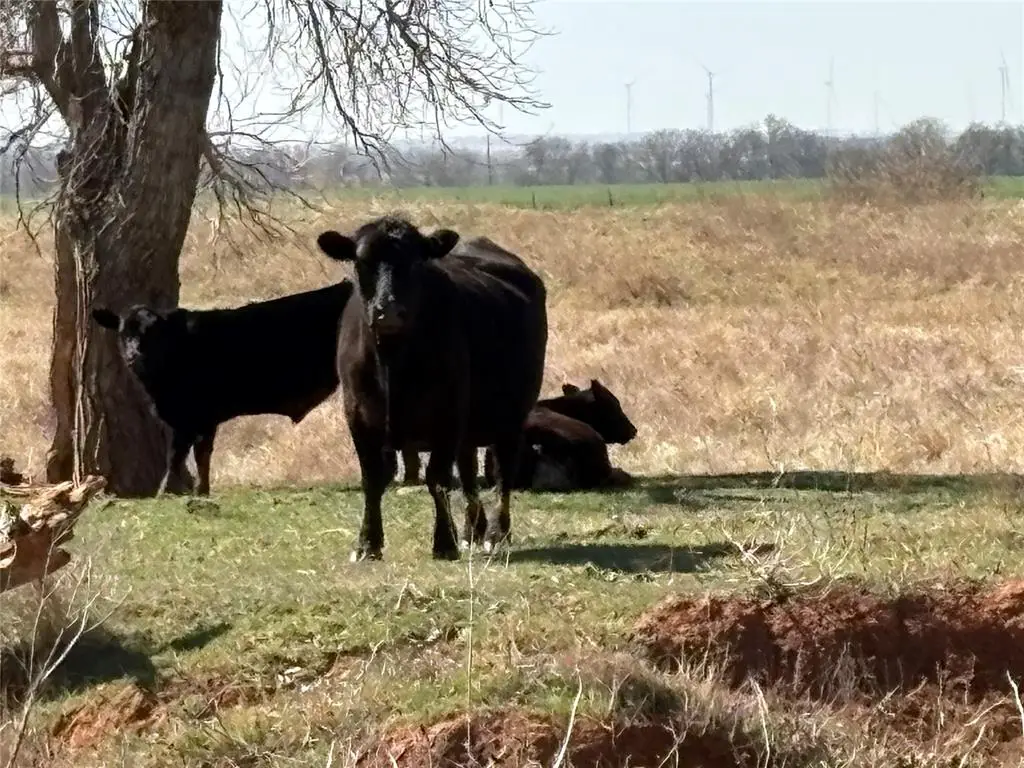 100 E County Road 600 Road, Marshall, OK 73056 - #1