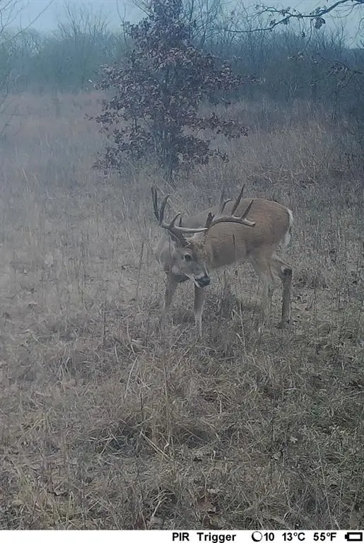 0000 N 3875 Road, Weleetka, OK 74839