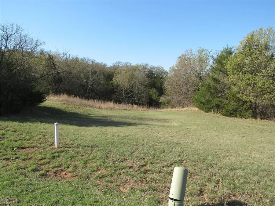 Promise Ridge, Pauls Valley, OK 73075 - #3
