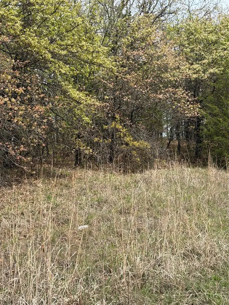 17980 S Cliff Road, Newalla, OK 74857 - #3