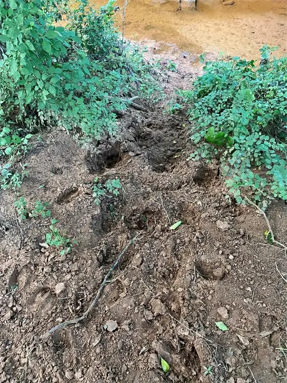 40 Acres Mol North Highway 74 And Cr 69, Crescent, OK 73028 - #2