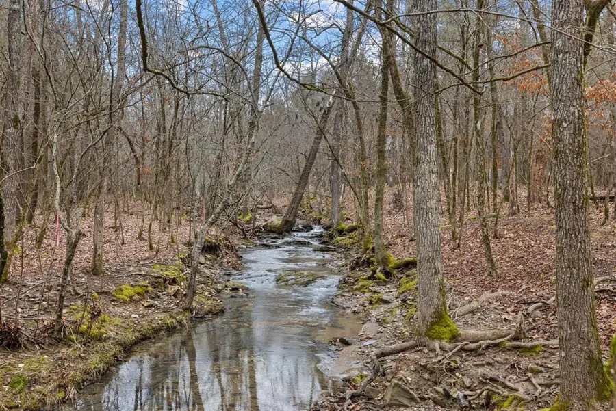 52 Big Oak Trail, Broken Bow, OK 74728 - #2