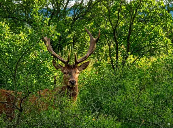 11222 SE Hwy 2 Street, Tuskahoma, OK 74574