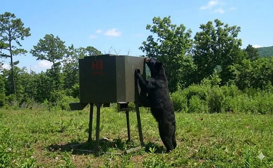 11222 SE Hwy 2 Street, Tuskahoma, OK 74574 - #2