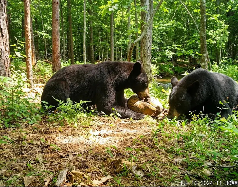 11222 SE Hwy 2 Street, Tuskahoma, OK 74574 - #3