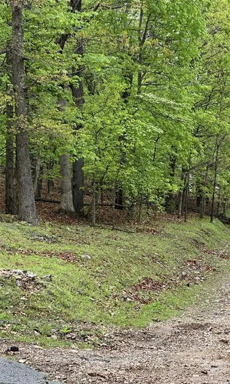 Konowa Drive, Eucha, OK 74342 - #3