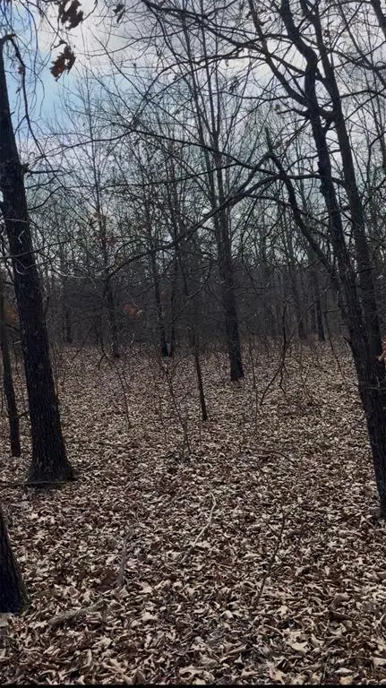 Address Withheld By Seller, Tecumseh, OK 74873