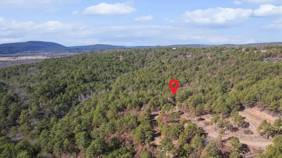 96 Saddlegap Ranch West Road, Tuskahoma, OK 74574 - #3