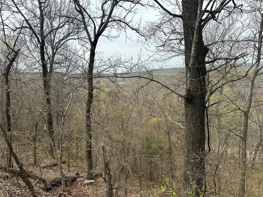 000 W Big Rock Road #Lot 6, Park Hill, OK 74451 - #3