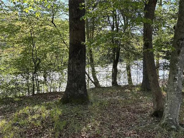 Tbd Riverside Lane, Smithville, OK 74957