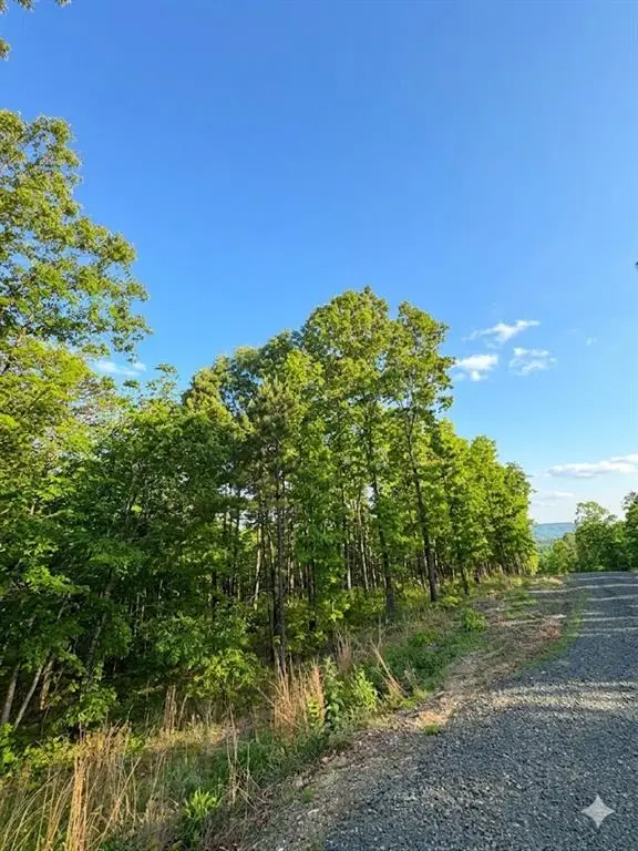 3 Vista Trail, Watson, OK 74957 - #1