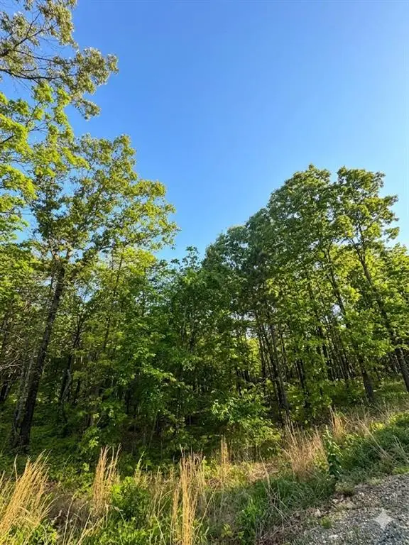 3 Vista Trail, Watson, OK 74957 - #2