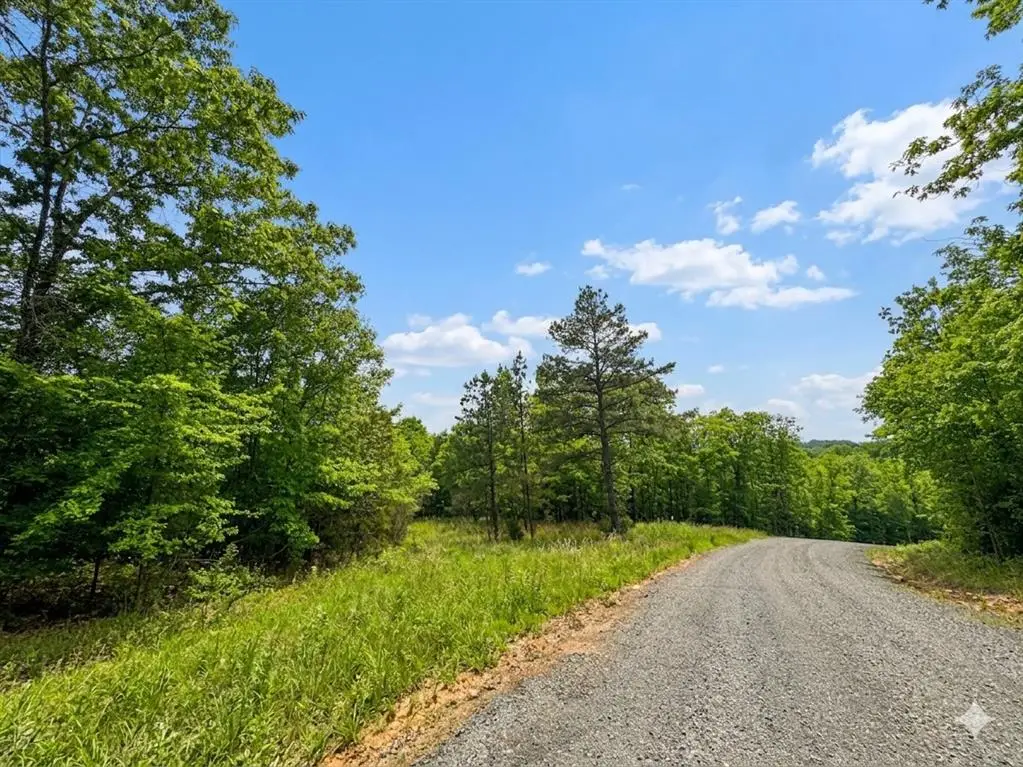 6 Vista Ridge Trail, Watson, OK 74957 - #1