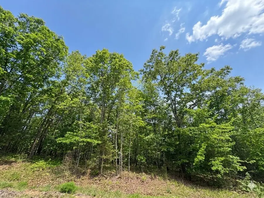 6 Vista Ridge Trail, Watson, OK 74957 - #3