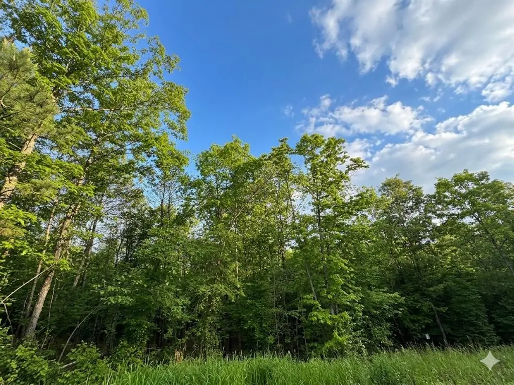 7 Vista Ridge Trail, Watson, OK 74957 - #1