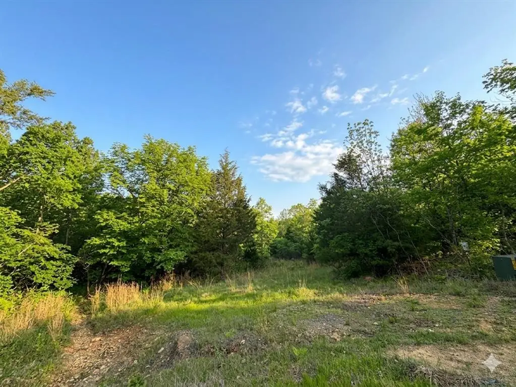 8 Vista Ridge Trail, Watson, OK 74957 - #1